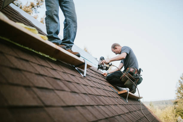 Best Metal Roofing Contractor  in Gowanda, NY